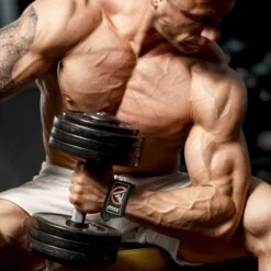 RDX Weight Lifting Straps With Padded Wrist Support -Fitness Equipment Shop 1680829293f2a8541efa2647a0290f88 5d0a75811769a 600x600 1