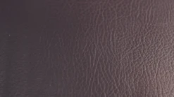 Rogue Adjustable Bench 2.0 20 Rogue Adjustable Bench 2.0 -Fitness Equipment Shop 37a749d808e46495a8da1e5352d03cae 5e0e63bb082d9 600x337 1