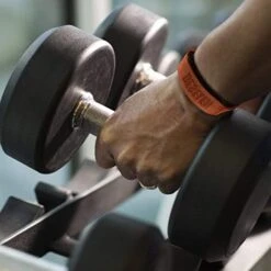 Deselen Lifting Straps -Fitness Equipment Shop 55a988dfb00a914717b3000a3374694c 5d0a757aabdfe