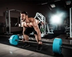 Anvil Fitness Lifting Straps -Fitness Equipment Shop 6be93f7a96fed60c477d30ae1de032fd 5d0a75790cd07 600x482 1