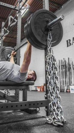 Proloc 2 Chain Collars -Fitness Equipment Shop c2626d850c80ea07e7511bbae4c76f4b 5d0a74e6052a0