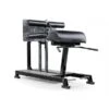 EliteFTS Pro Glute Ham Raise -Fitness Equipment Shop c2ba1bc54b239208cb37b901c0d3b363 5d0a75765cd55 600x600 1