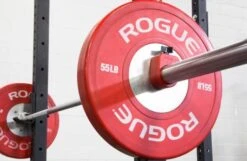 Proloc 1 Collars -Fitness Equipment Shop ce78d1da254c0843eb23951ae077ff5f 5d0a74e61dae1 600x392 1