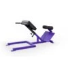 EliteFTS Scholastic 45 Degree Back Raise -Fitness Equipment Shop d6288499d0083cc34e60a077b7c4b3e1 5d0a7576cb935 600x600 1
